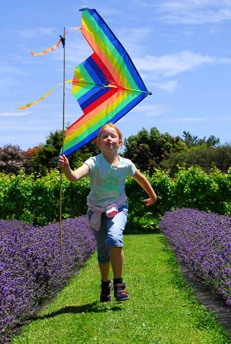 Lavender Farm - Otaki - Wellington