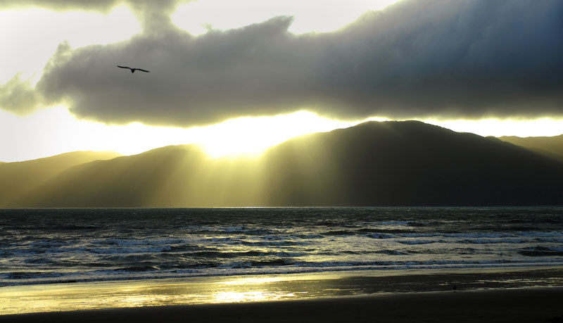 Kapiti Sunset - Wellington