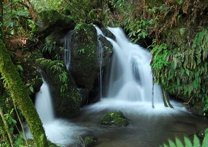 Te Wairoa Waterfall - New Zealand